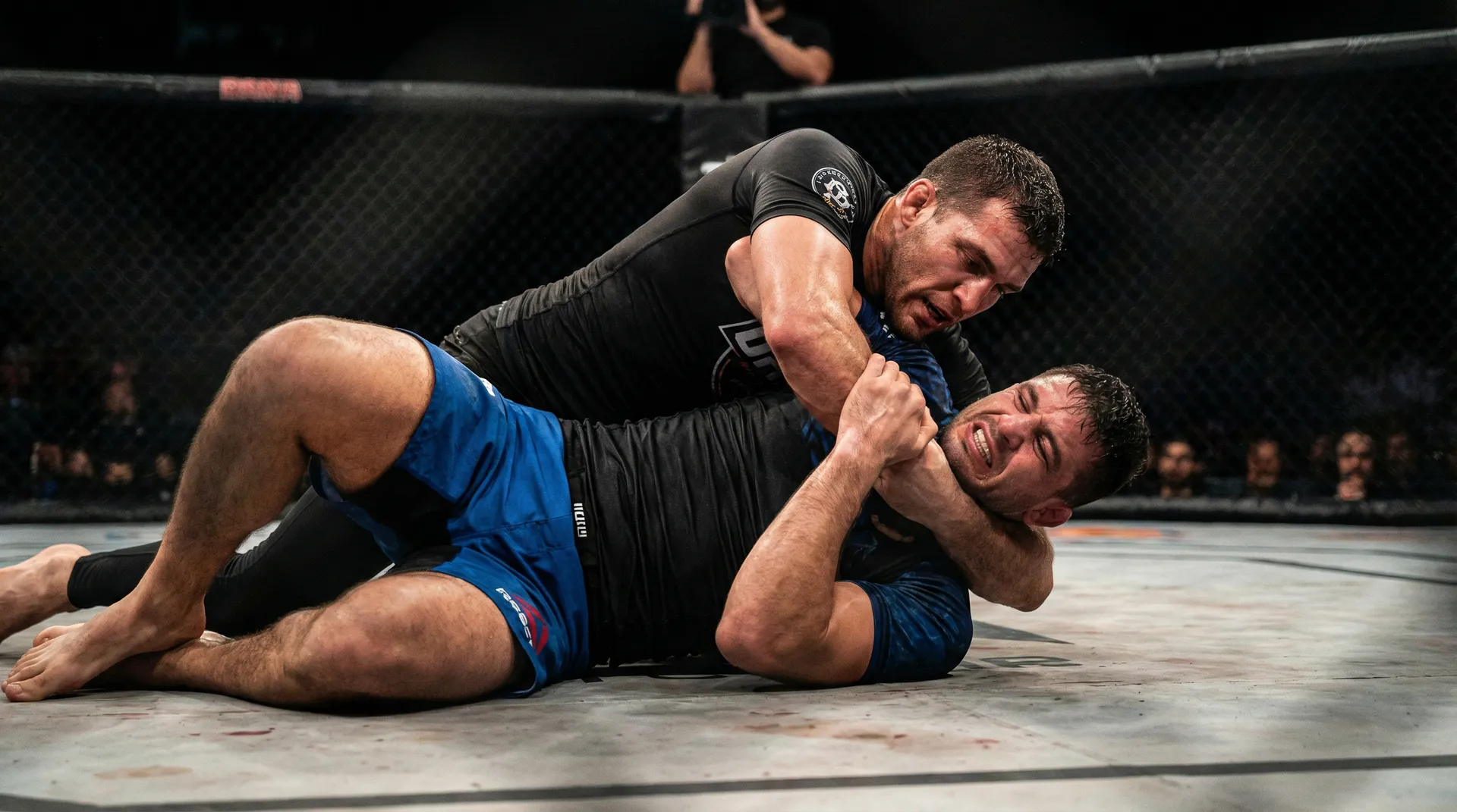 皇冠娱乐官网 地面格斗技巧教学视频